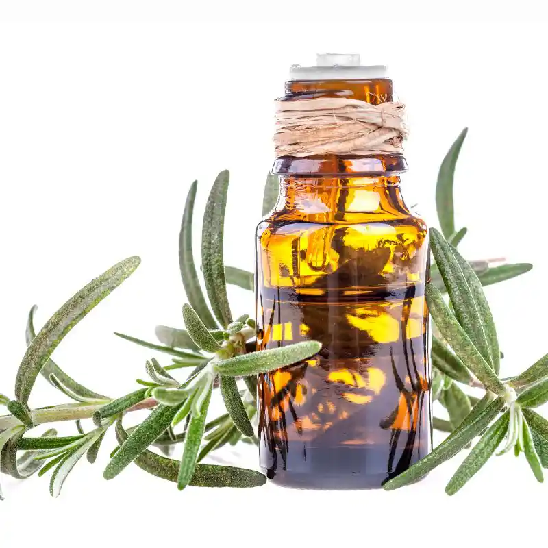 The magic Of Essential Oils