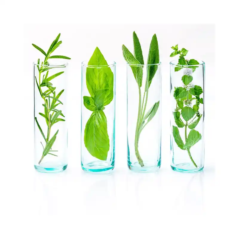 Aromatherapy and Wellbeing Aromatherapy and Wellbeing