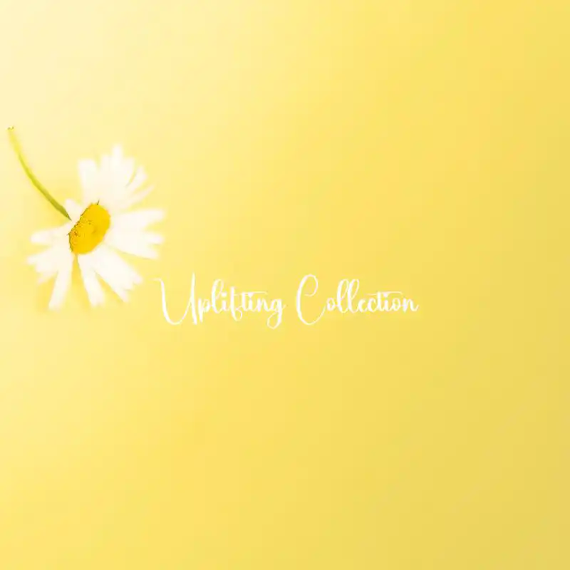 Uplifting Collection | Aromatherapy to Refresh & Energise