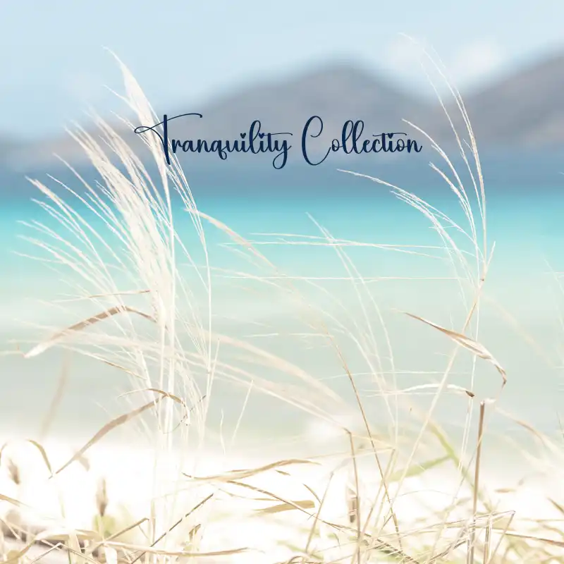 Tranquility Collection | Essential Oil Blends for Peace