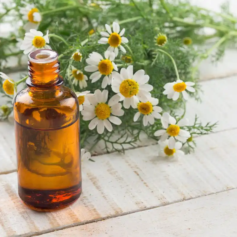 understanding notes - top-middle-bottom