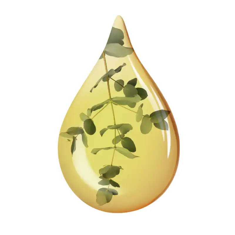 The Truth About Essential Oil Quality- What You Need to Know The Truth About Essential Oil Quality- What You Need to Know