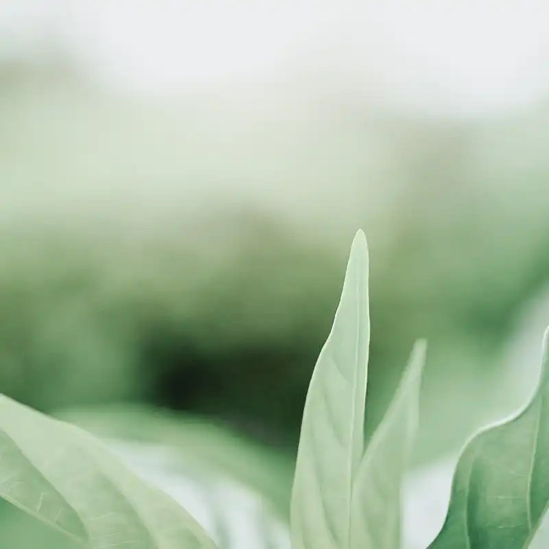 A Fresh Season for You and Your Home