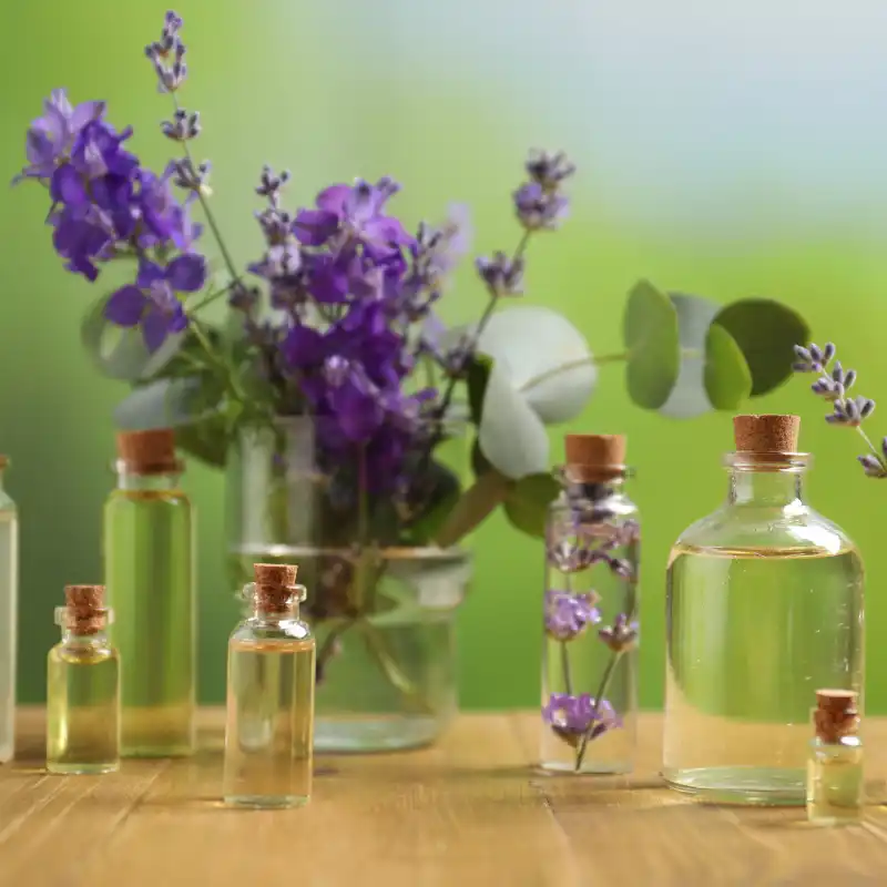 The Aromatherapists Notebook